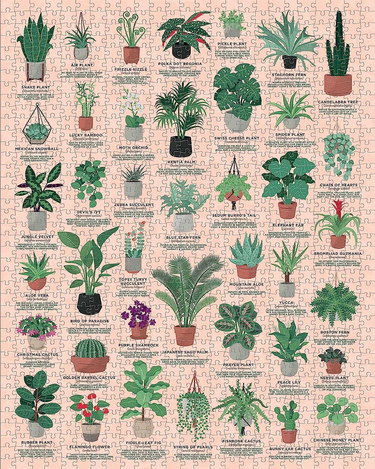 Ridley's JIG058 House of Plants Jigsaw Puzzle, Green