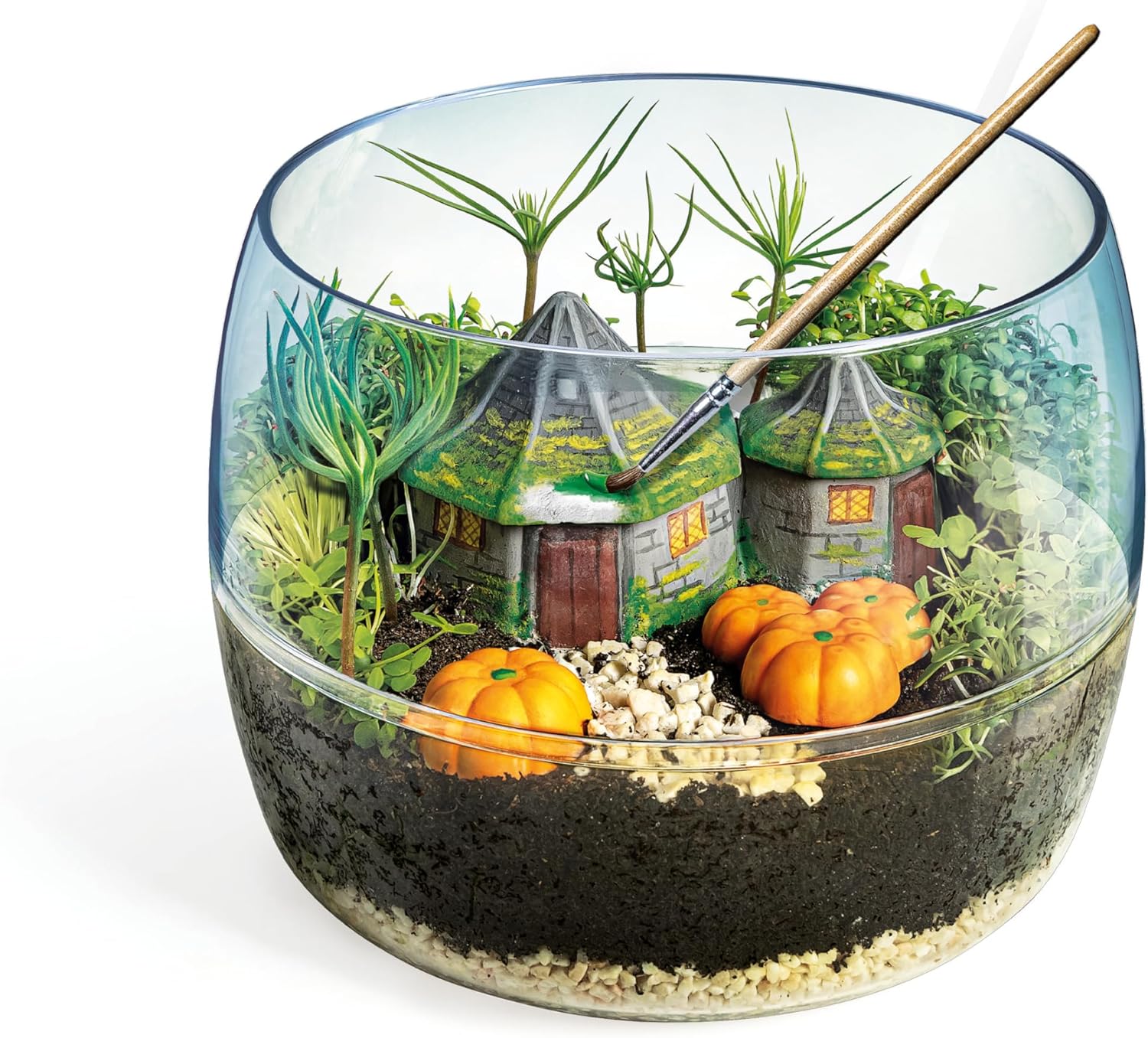 Clementoni 19248 Terrarium-Harry Potter Gift for Kids, Educational and Scientific Toys Children 7 Years Old-Made in Italy, Multicoloured