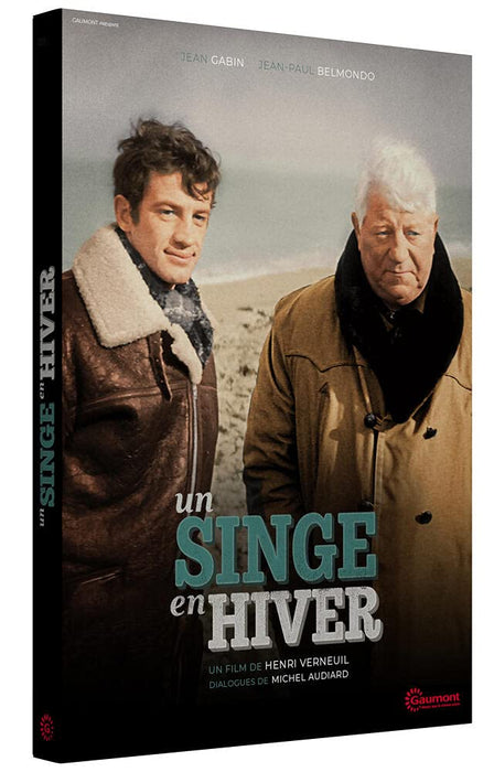 A Monkey in Winter ( Un singe en hiver )