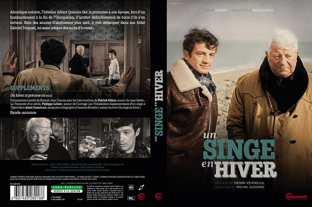 A Monkey in Winter ( Un singe en hiver )