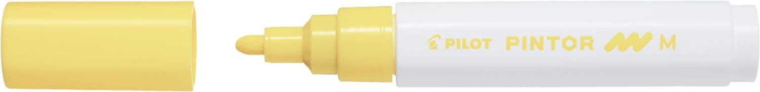 PILOT Maletín con 4 Pintor - Rotuladores al Agua Multisuperficie de Secado Rápido - Textil, Vidrio, Madera, Piedra, Bricolaje - 11 colores - Punta Fina (x7) y Punta Ancha (x4