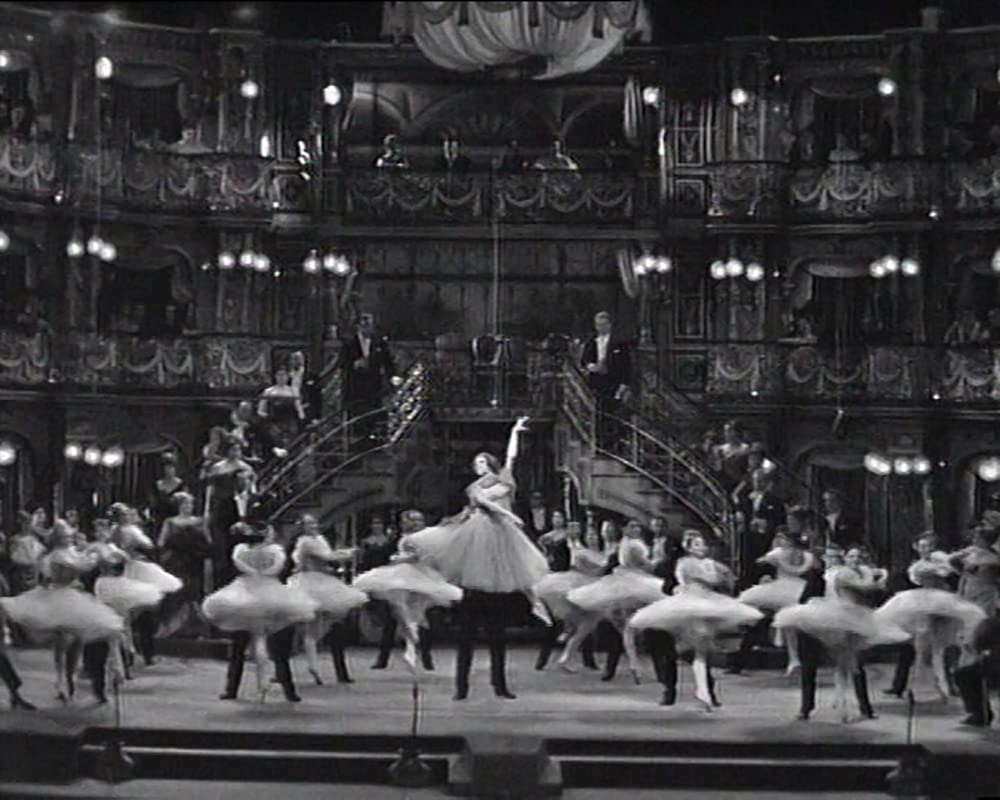 Die Fledermaus