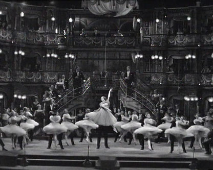 Die Fledermaus