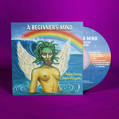 A Beginner's Mind