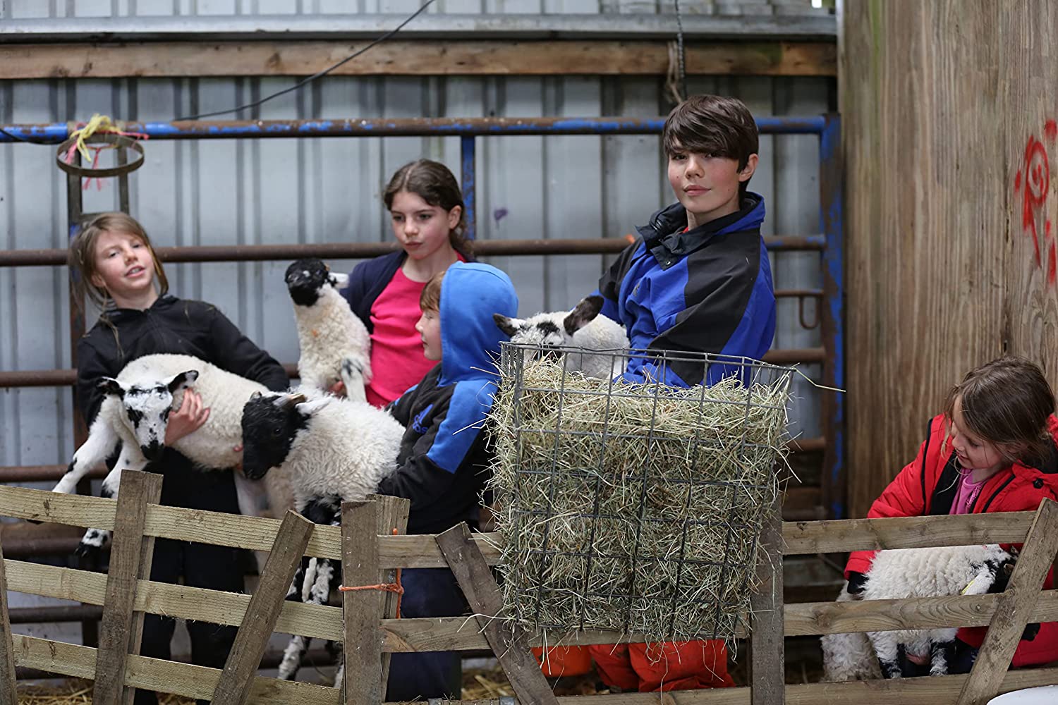 Our Yorkshire Farm: Series 1&2
