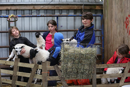 Our Yorkshire Farm: Series 1&2