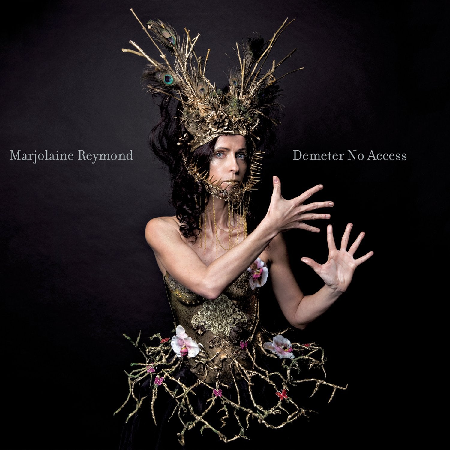 Demeter No Access