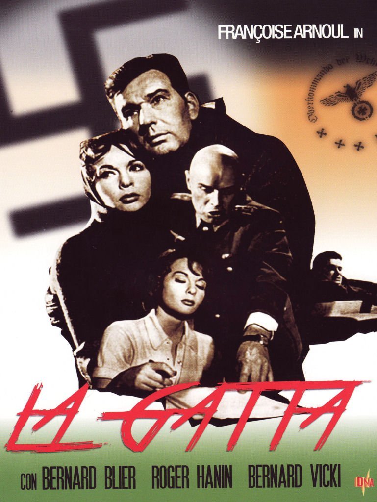 Gatta (La) - IMPORT