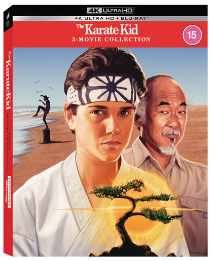 The Karate Kid/The Karate Kid 2/The Karate Kid 3