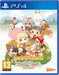Story of Seasons: Friends Of Mineral Town