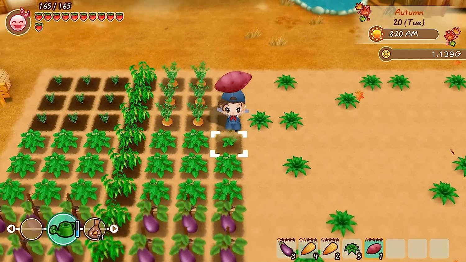Story of Seasons: Friends Of Mineral Town (Xbox One