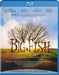 Big Fish