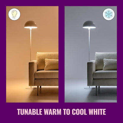 Wiz - A67 Bulb E27 Colour And Tunable White - Smart Home