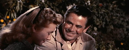 Der Mann ohne Furcht, 1 Blu-ray