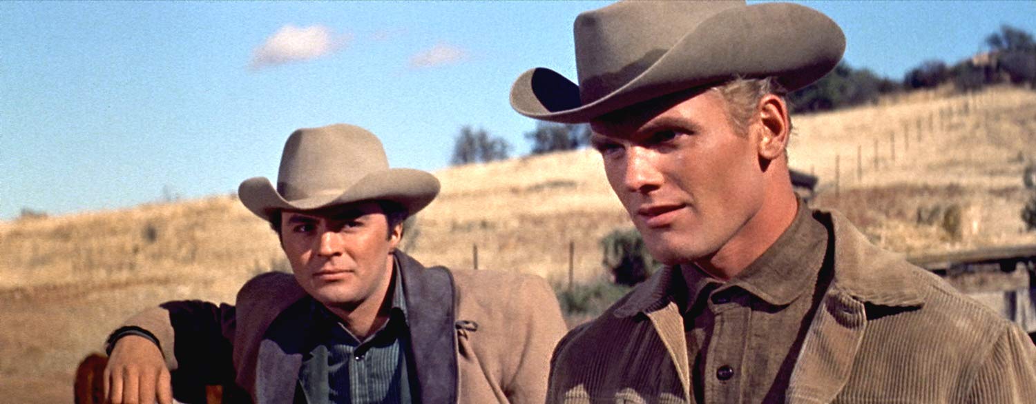 Gunman's Walk (1958) ( Gun man's Walk )