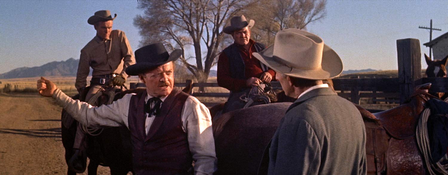 Gunman's Walk (1958) ( Gun man's Walk )