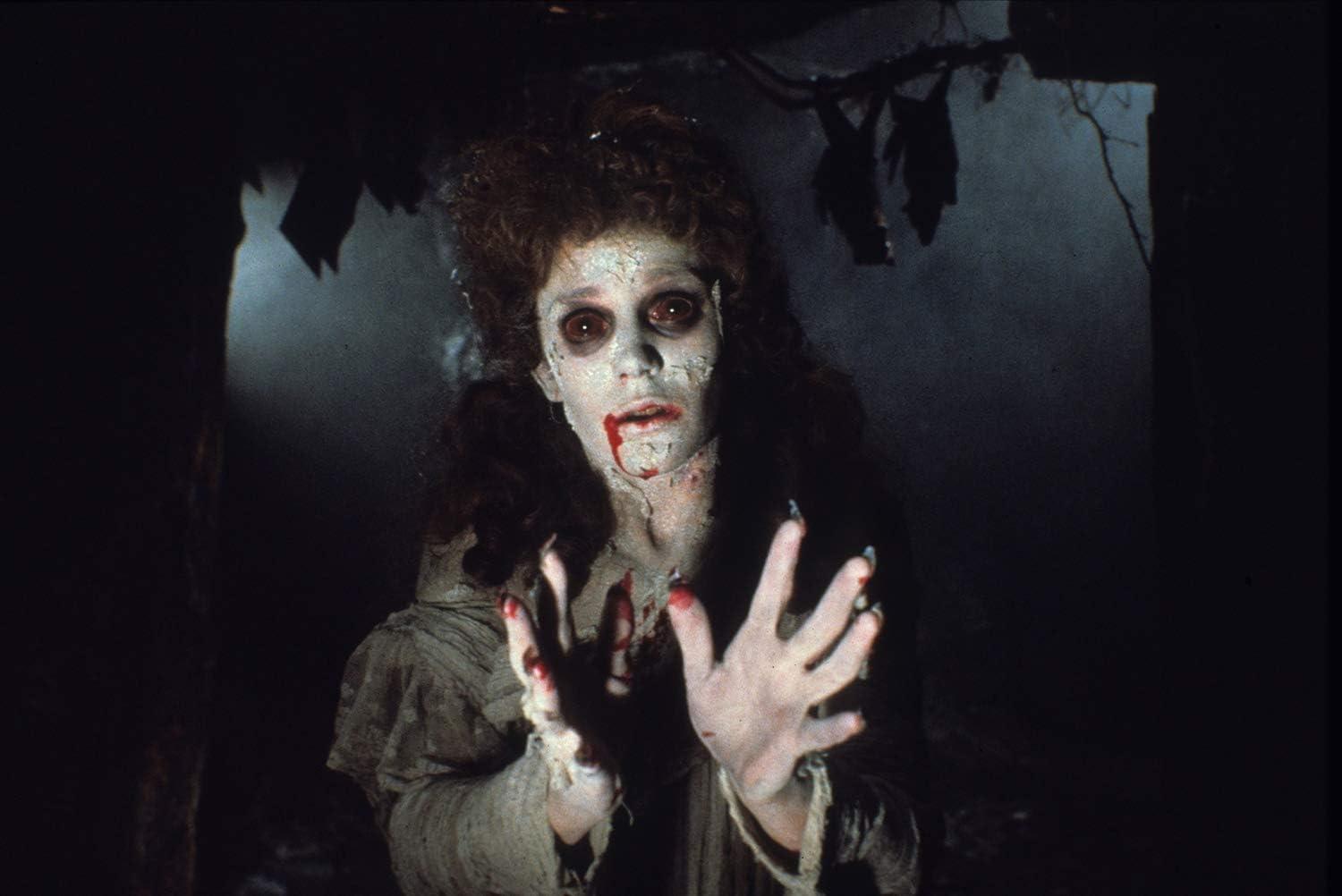 Dracula (1979), 2 DVD (Cinema Edition)