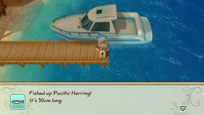 Story Of Seasons - Friends Of Mineral Town Game