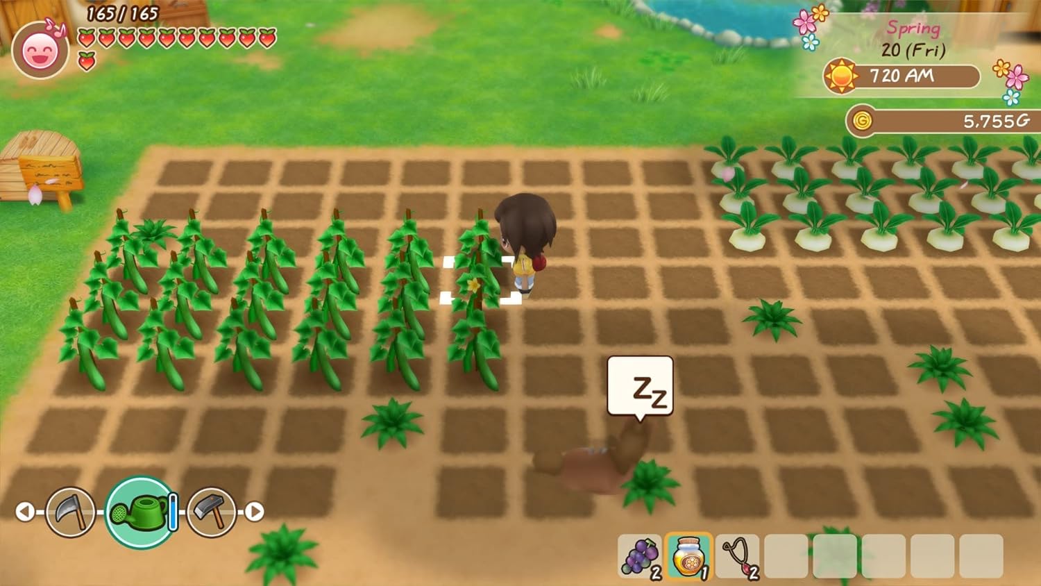 Story Of Seasons - Friends Of Mineral Town Game