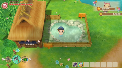 Inconnu Story of Seasons: Friends of Mineral Town