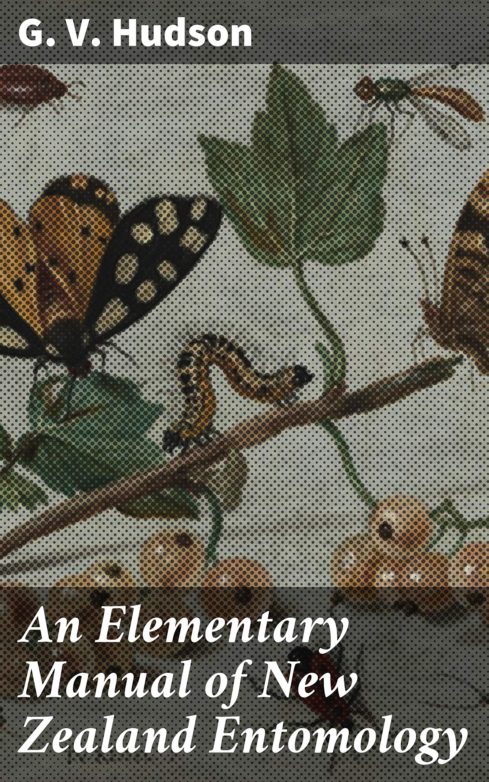 An Elementary Manual of New Zealand Entomology; Being an Introduction to the Study of Our Native Insects