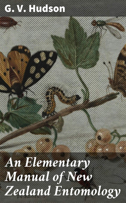 An Elementary Manual of New Zealand Entomology; Being an Introduction to the Study of Our Native Insects
