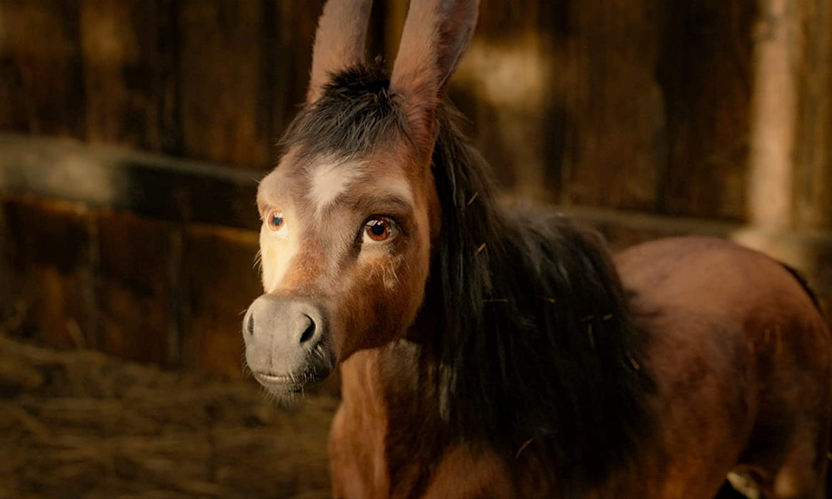 The Magic Roads - Auf magischen Wegen