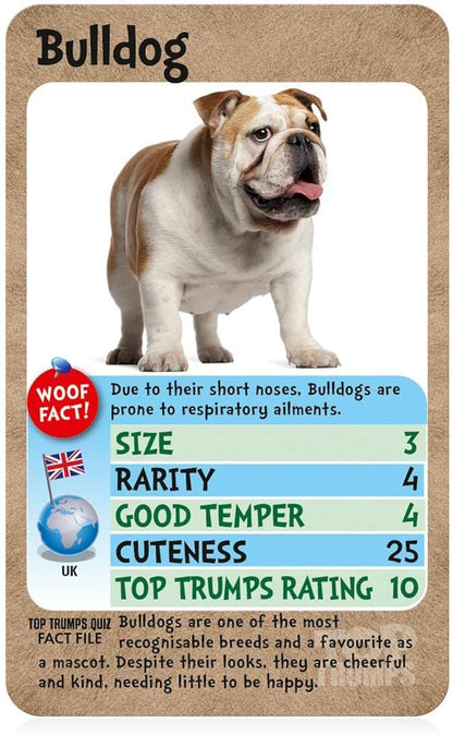 Top Trumps Dogs Classics Kartenspiel, erfahren Sie Fakten über Boxer, Mops, Husky und Chihuahua in diesem pädagogischen Spiel, Geschenke und Spielzeug für Jungen und Mädchen ab 6 Jahren, für 2 Spieler