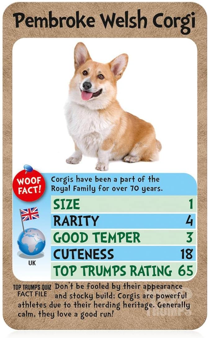 Top Trumps Dogs Classics Kartenspiel, erfahren Sie Fakten über Boxer, Mops, Husky und Chihuahua in diesem pädagogischen Spiel, Geschenke und Spielzeug für Jungen und Mädchen ab 6 Jahren, für 2 Spieler