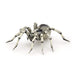 PAPO Wild Animal Kingdom Tarantula Toy Figure, Multi-colour (50190)
