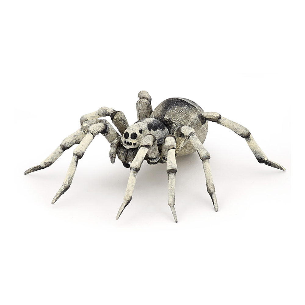 PAPO Wild Animal Kingdom Tarantula Toy Figure, Multi-colour (50190)