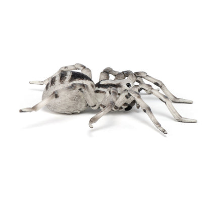 PAPO Wild Animal Kingdom Tarantula Toy Figure, Multi-colour (50190)