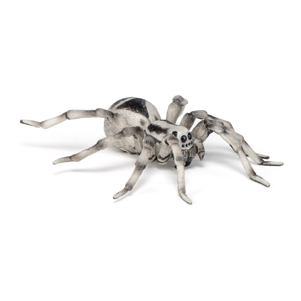 PAPO Wild Animal Kingdom Tarantula Toy Figure, Multi-colour (50190)