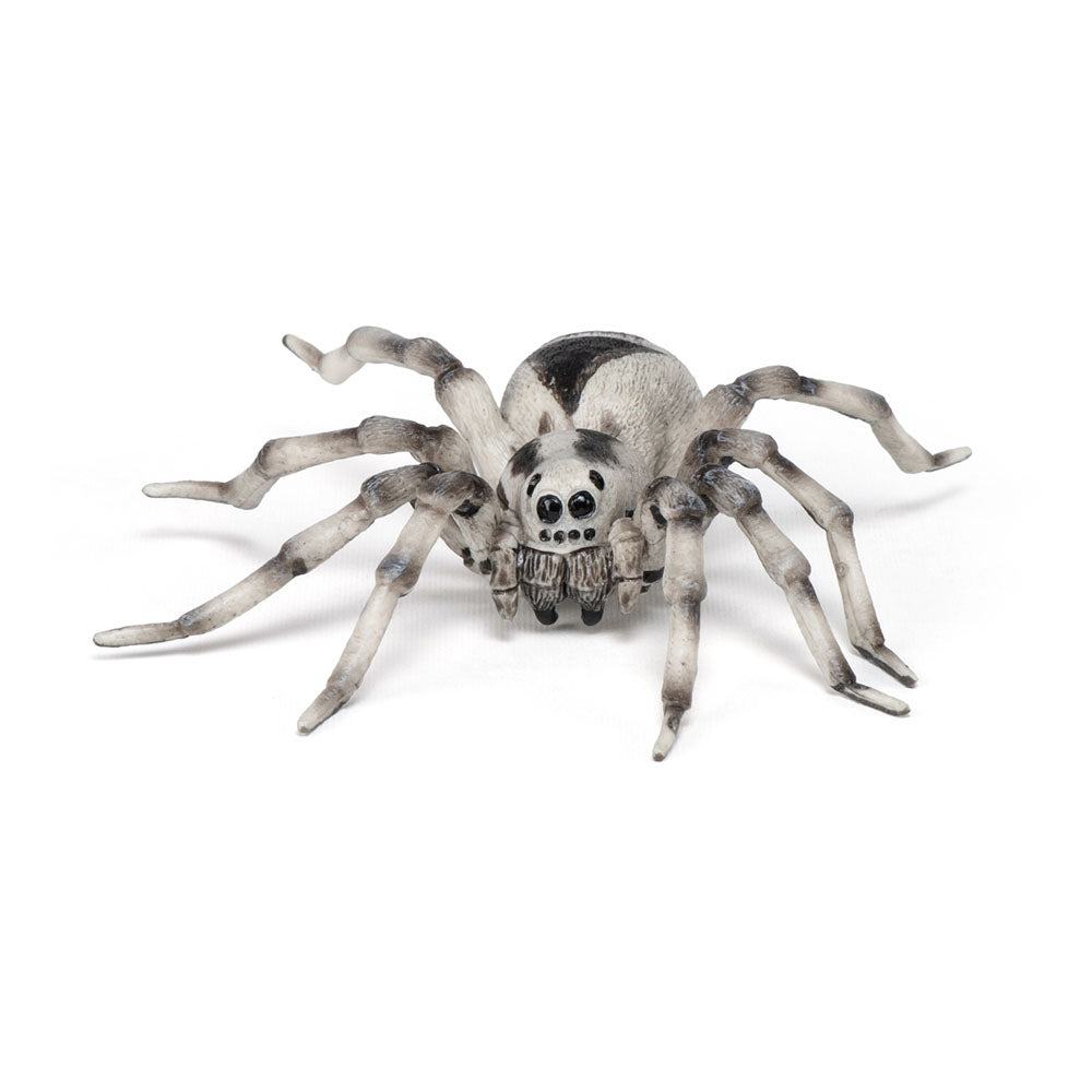 PAPO Wild Animal Kingdom Tarantula Toy Figure, Multi-colour (50190)