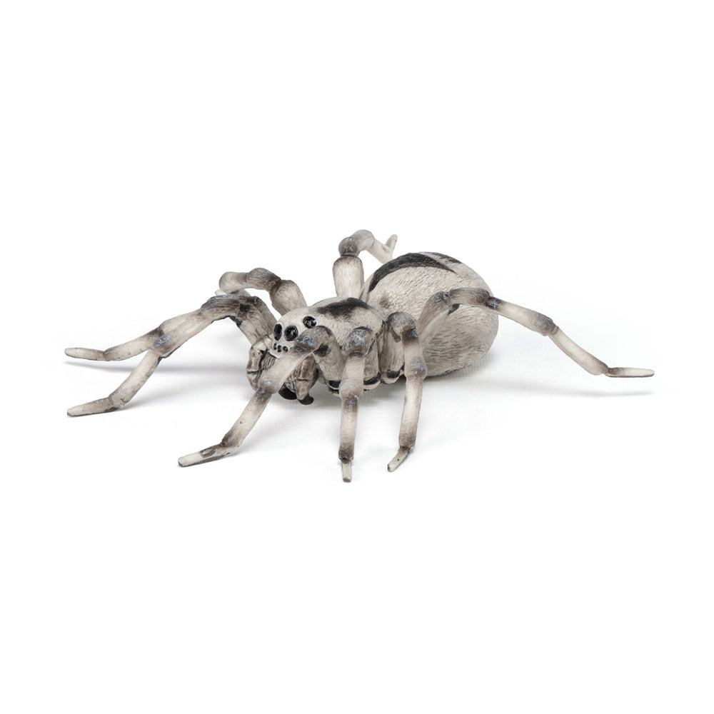 PAPO Wild Animal Kingdom Tarantula Toy Figure, Multi-colour (50190)