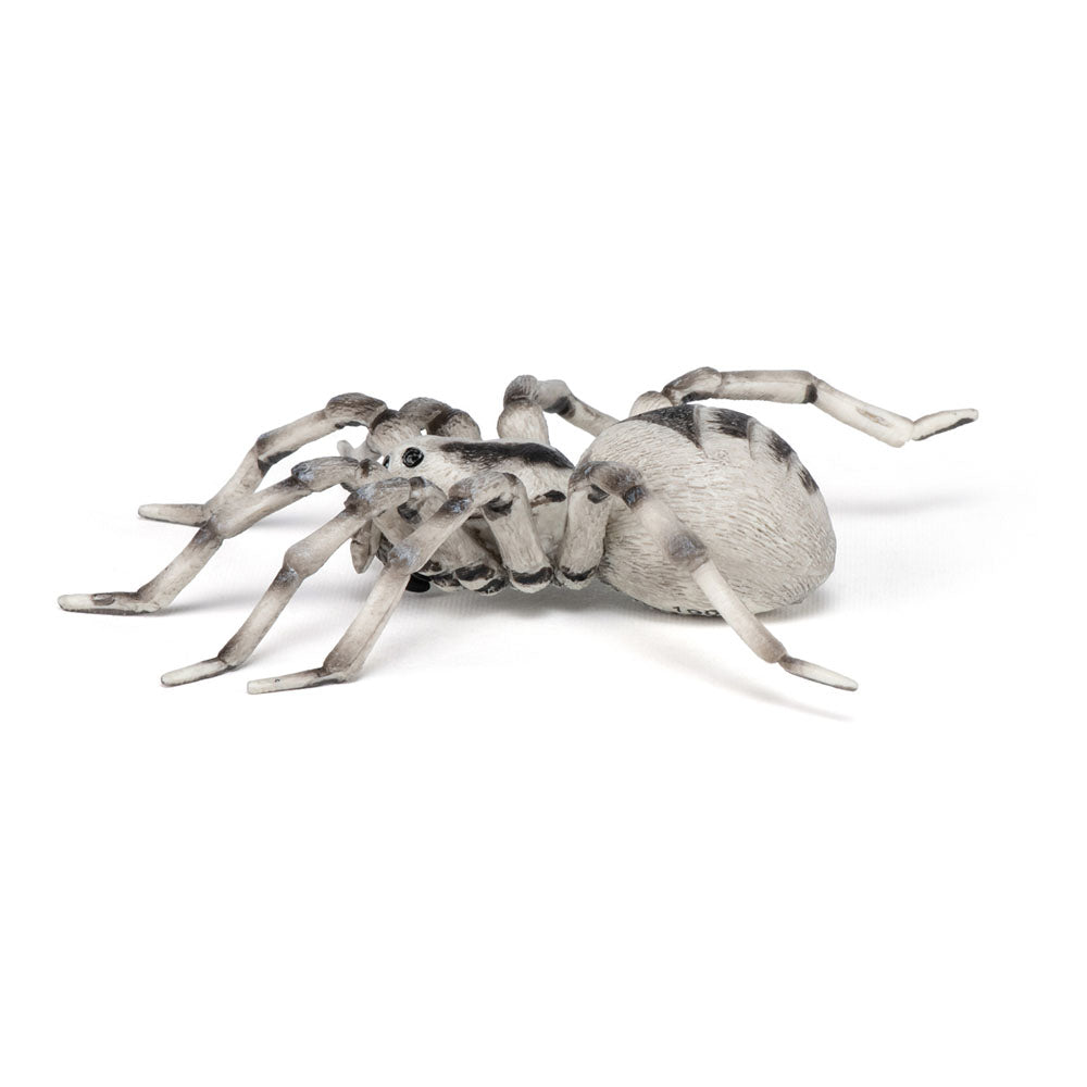 PAPO Wild Animal Kingdom Tarantula Toy Figure, Multi-colour (50190)