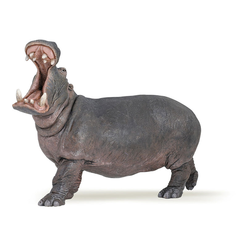 Papo 50051 - Hipopótamo