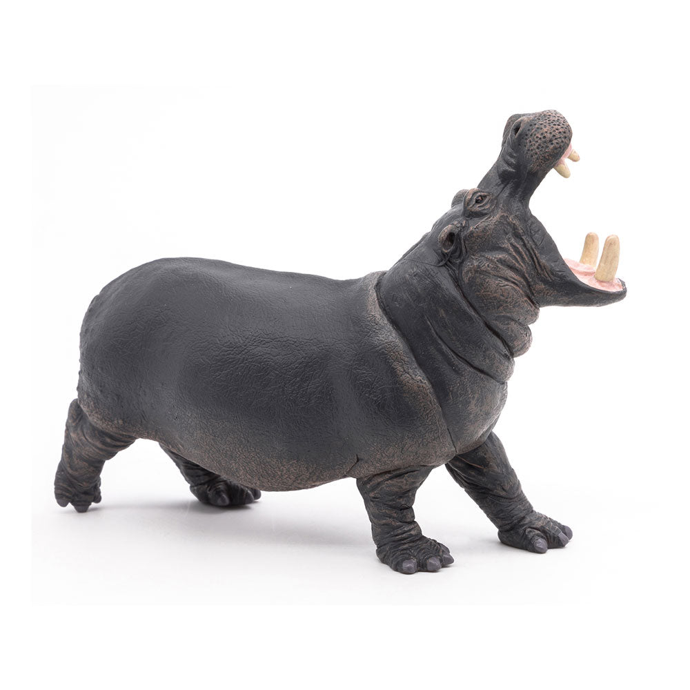 Papo 50051 - Hipopótamo