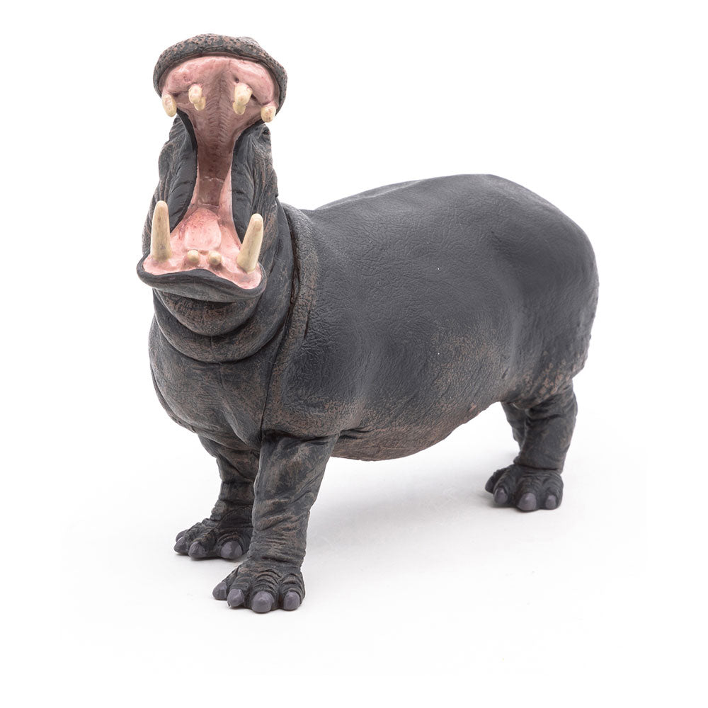 Papo 50051 - Hipopótamo