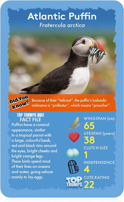 Top Trumps Birds of The World Classics Card Game, Discover Some Interesting Facts in This Educational Packed Game Including The Blue Jay’s Wingspan, 2 Plus Players Makes a Great Gift for Ages 6 Plus