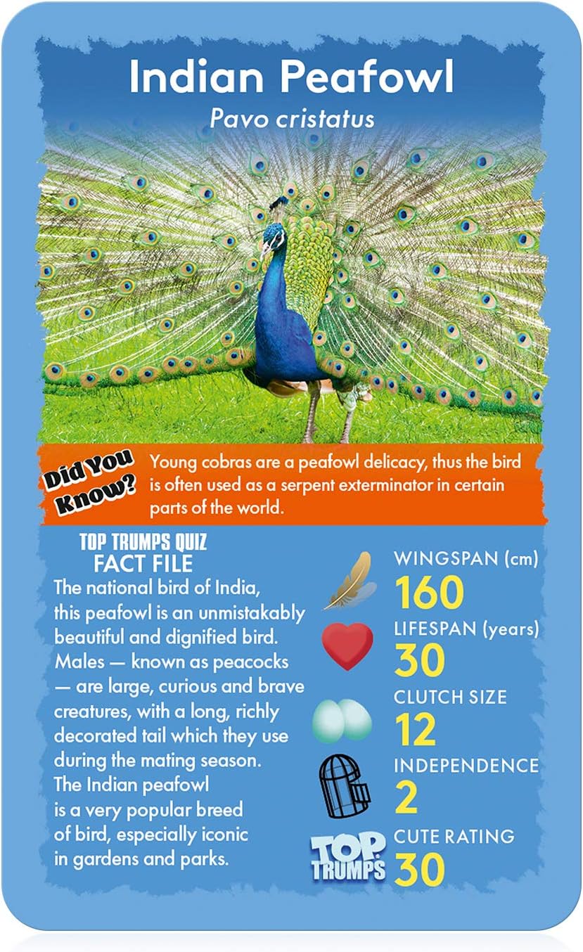 Top Trumps Birds of The World Classics Card Game, Discover Some Interesting Facts in This Educational Packed Game Including The Blue Jay’s Wingspan, 2 Plus Players Makes a Great Gift for Ages 6 Plus