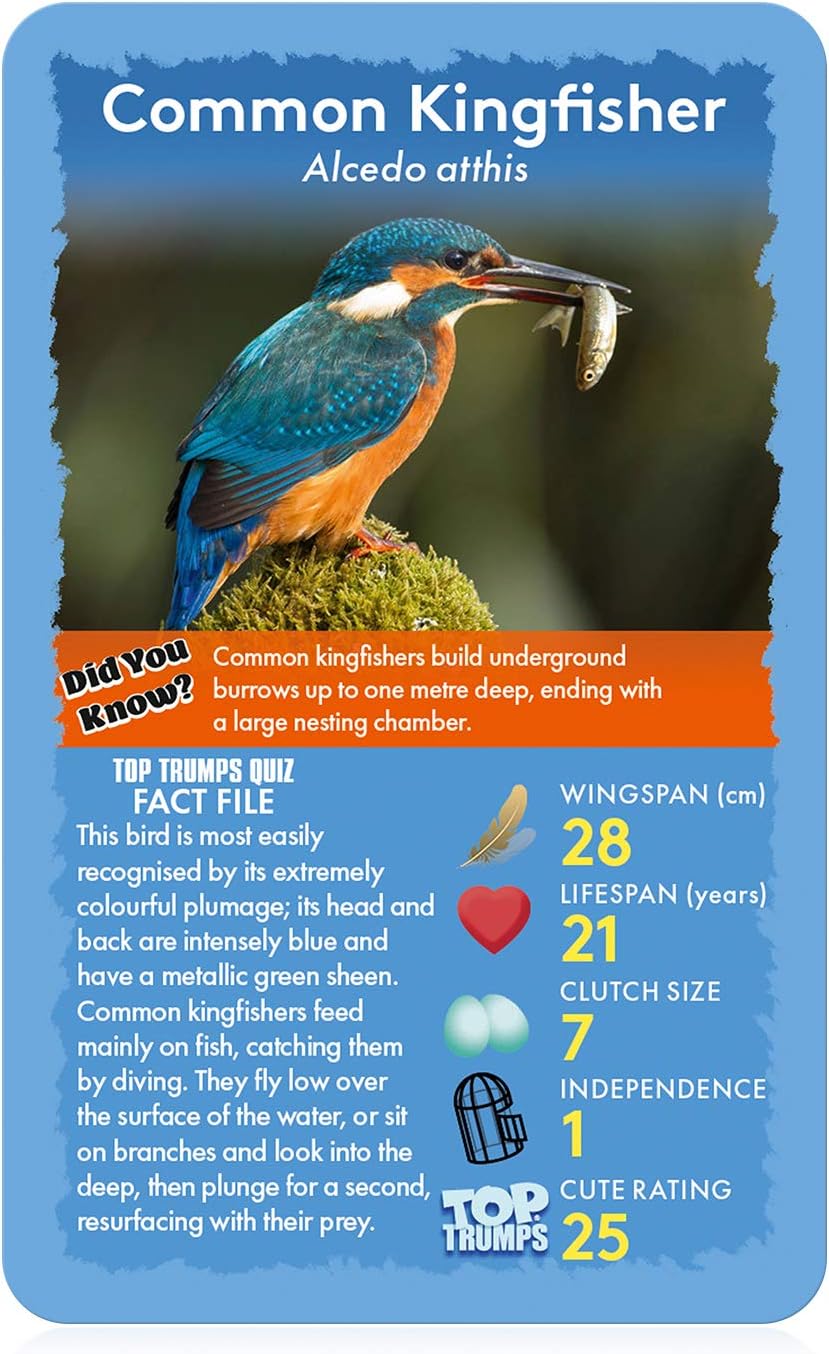 Top Trumps Birds of The World Classics Card Game, Discover Some Interesting Facts in This Educational Packed Game Including The Blue Jay’s Wingspan, 2 Plus Players Makes a Great Gift for Ages 6 Plus
