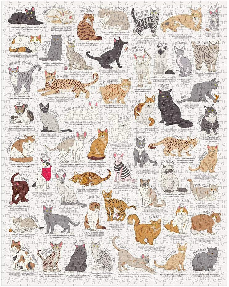 Ridley's Games JIG055 Cat Lover's 1000 Piece Jigsaw Puzzle, Multicoloured
