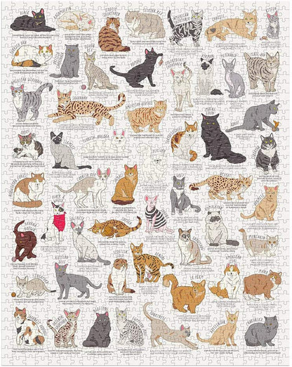 Ridley's Games JIG055 Cat Lover's 1000 Piece Jigsaw Puzzle, Multicoloured