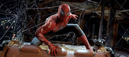 Spider-Man 3 (Special Edition)(Bilingual)