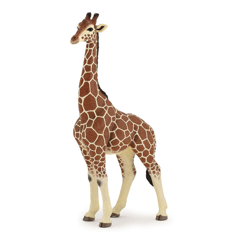PAPO Wild Animal Kingdom Giraffe Male Toy Figure, Multi-colour (50149)