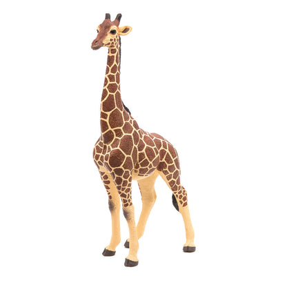 PAPO Wild Animal Kingdom Giraffe Male Toy Figure, Multi-colour (50149)