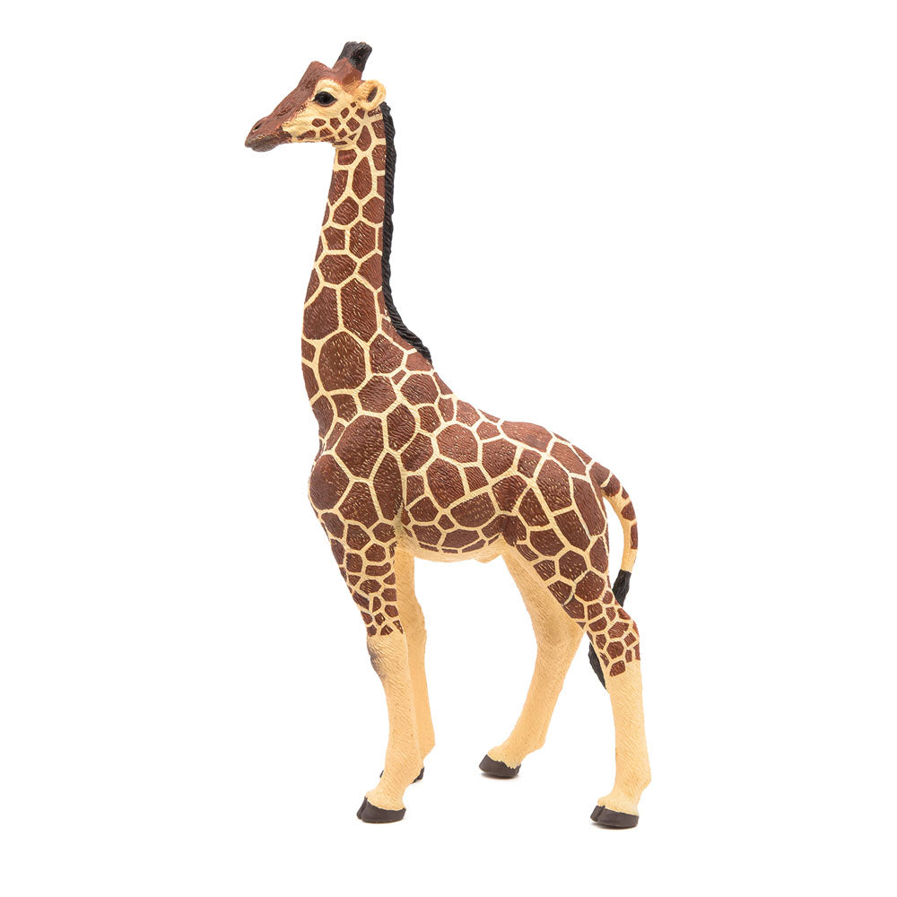 PAPO Wild Animal Kingdom Giraffe Male Toy Figure, Multi-colour (50149)