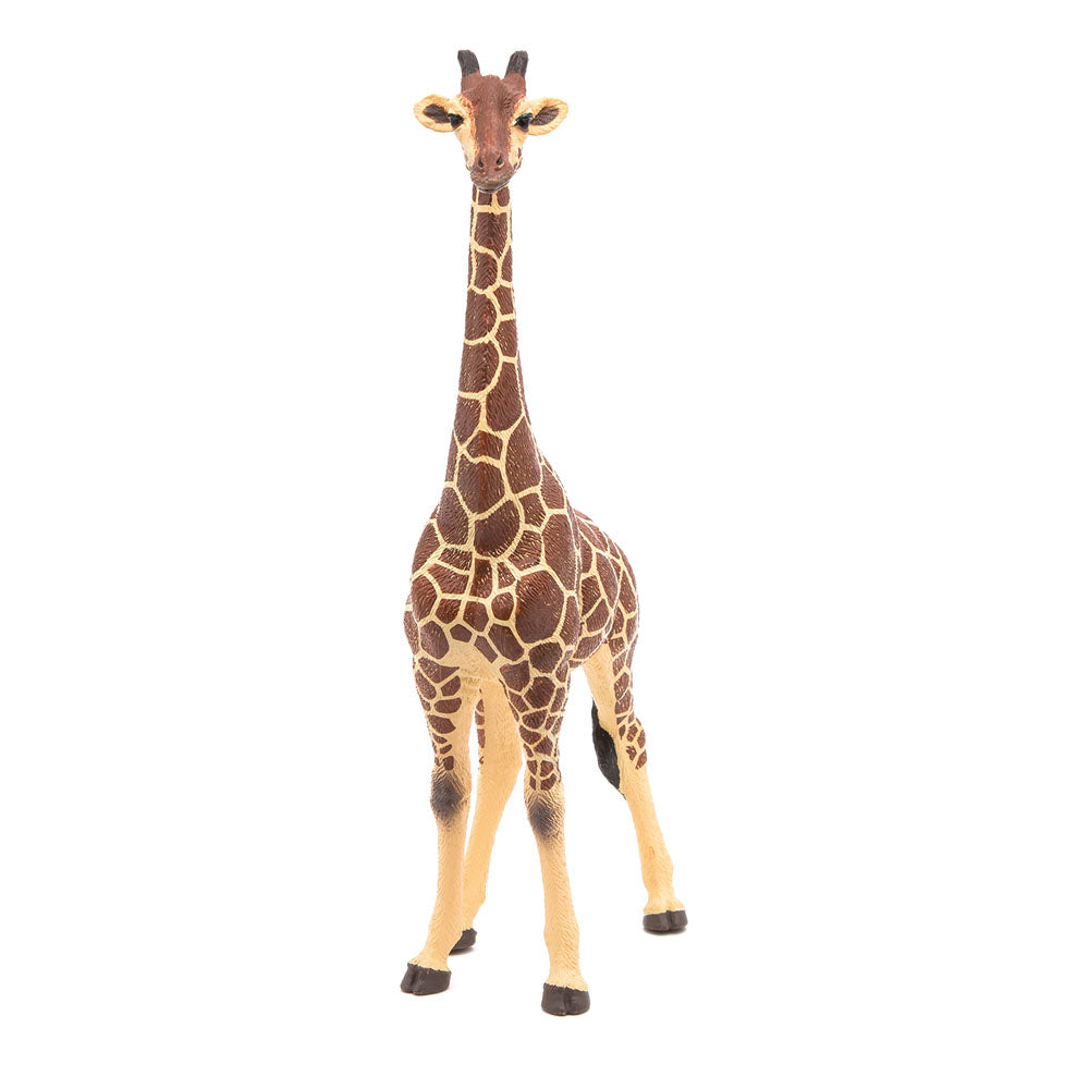 PAPO Wild Animal Kingdom Giraffe Male Toy Figure, Multi-colour (50149)