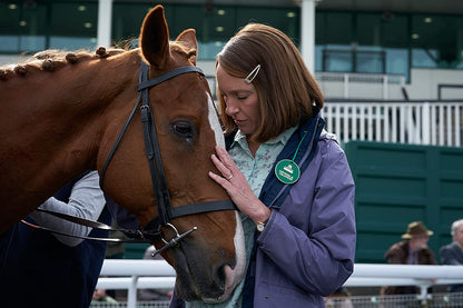 Dream Horse